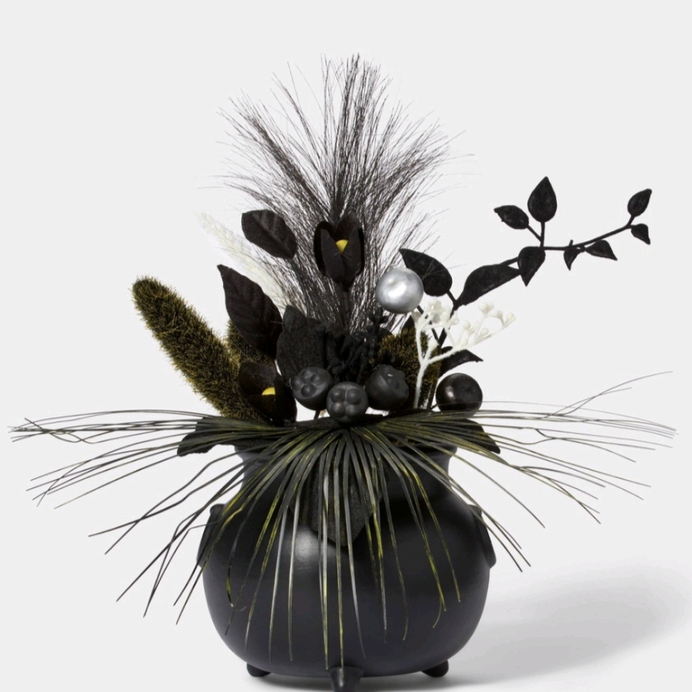 Target Halloween Hyde & EEK Cauldron Black Flowers Planter Creepy Plant Flower